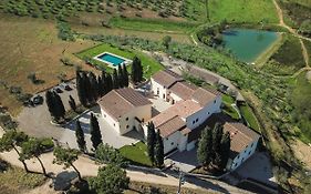 Olmofiorito